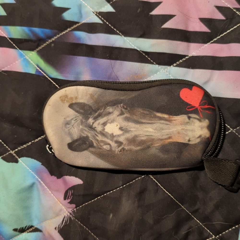 Eye glasses case
